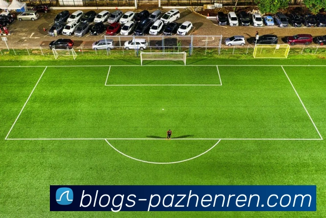 pa真人服务体系